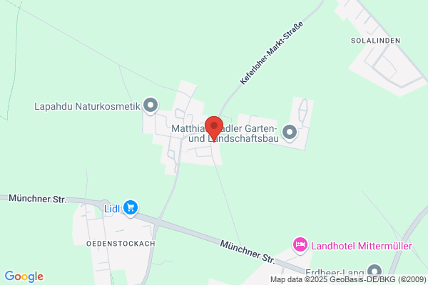 Wullstein