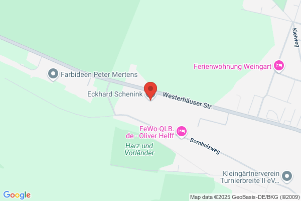 Eckhard Schenink