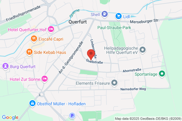 Ilona Walek