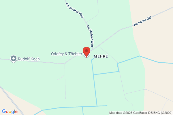 Odefey + Sohn