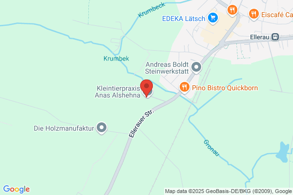 Hundeschule Pfiffikus