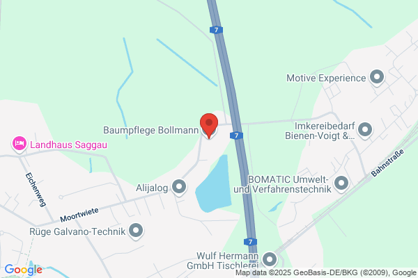 Baumsachverständigenbüro Bollmann GmbH