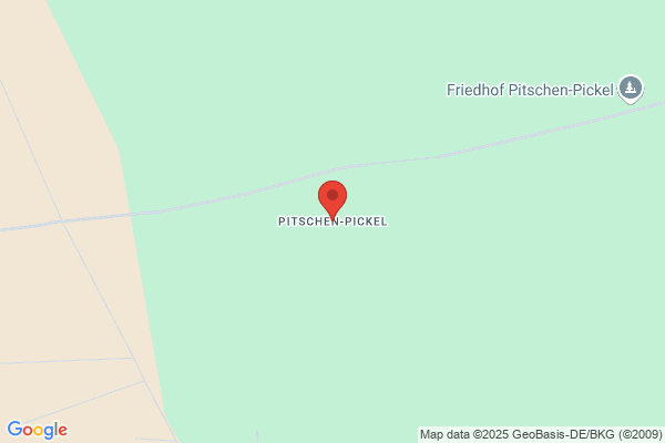 Pickel