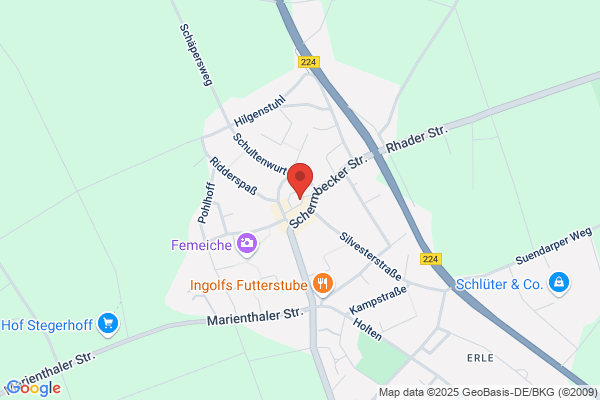 St. Silvester Erle