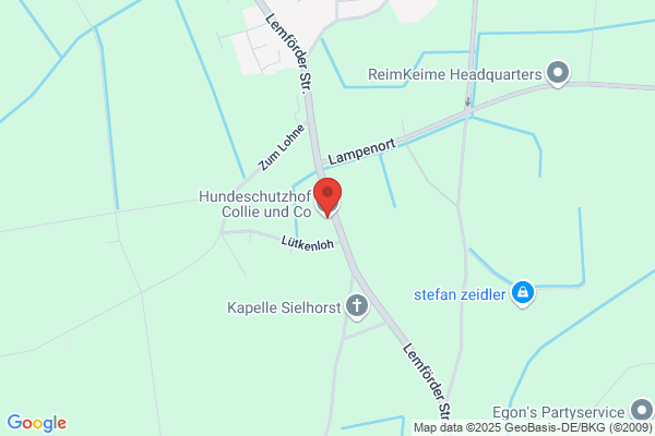 Tierschutzverein SOS- Colliehilfe e.V.