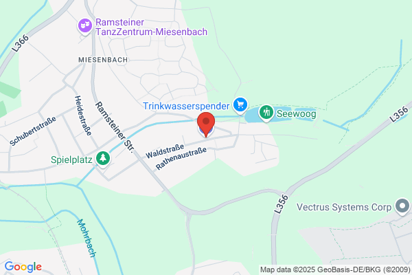 Taxi Service Yellow Cab Ramstein