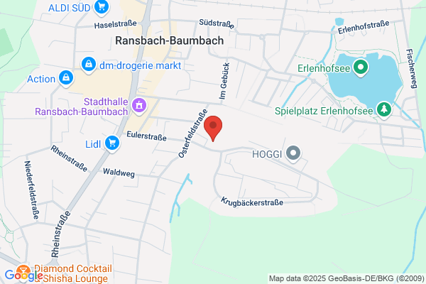DRIVER CENTER LANGE DIE AUTOWERKSTATT Ransbach-Baumbach