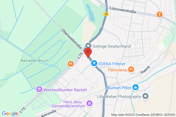Inter-Terra GmbH