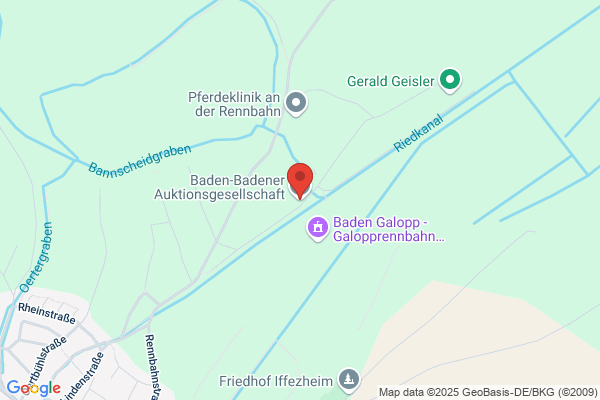Baden-Badener Auktionsgesellschaft