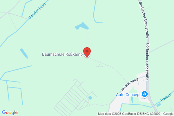 Baumschule Roßkamp GmbH