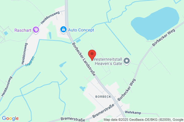 Bruns Gerold Containerbaumschule