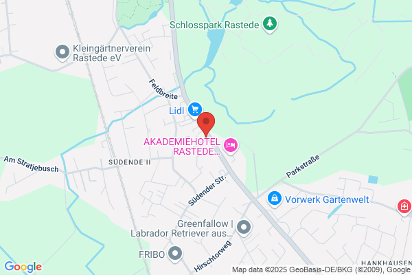 Modus Vivendi Duden
