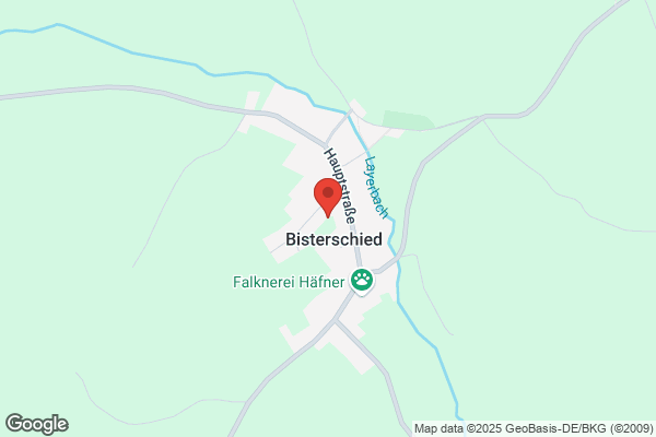 Turnverein Bisterschied
