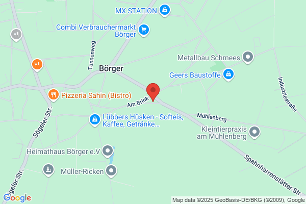 Hermann Borger