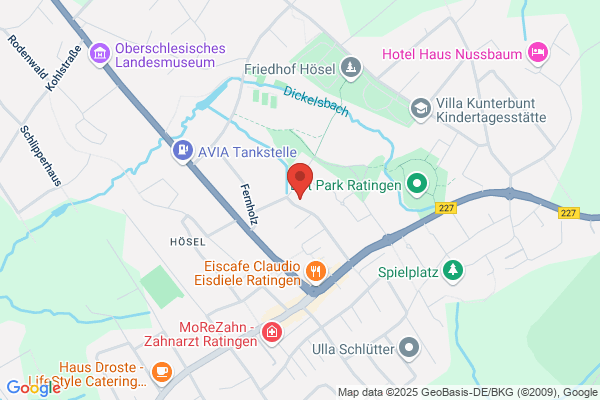 Hölzel Automotive GmbH
