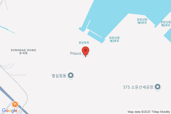 Posco Pohang Iron & Steel Company Ltd.