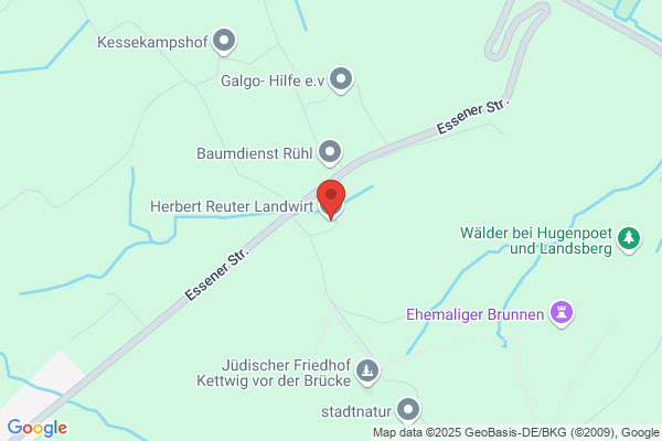 Heinz-Dieter Reuter