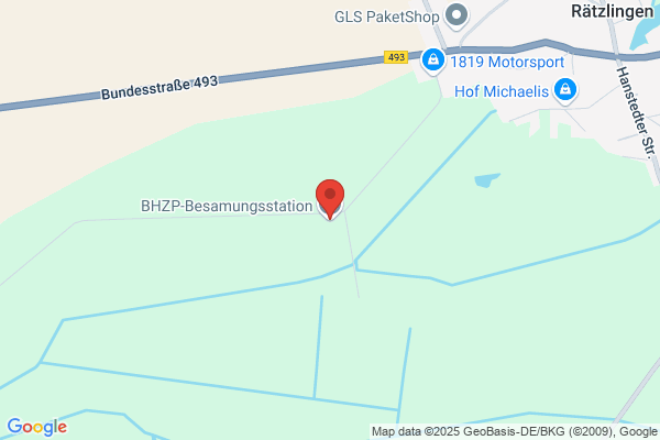 BHZP GmbH