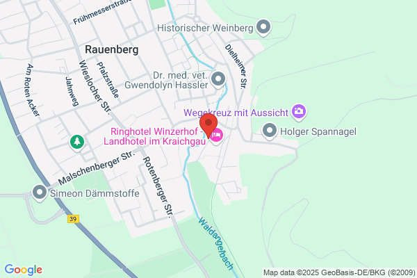 Braun Computer & Software Engineering GmbH