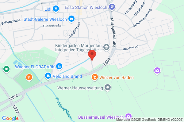 Maria-Sibylla-Merian-Grundschule Wiesloch
