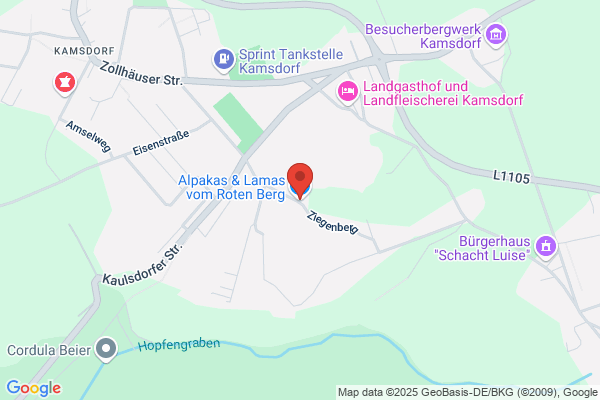 Alpaka-vom-Gruental