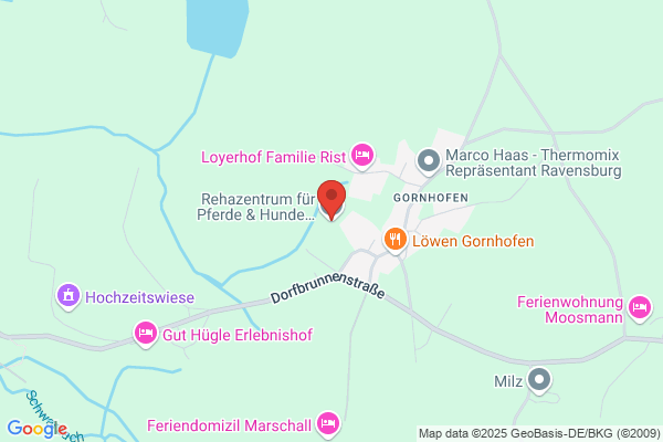 Pferdeosteopathie Rike Fischer