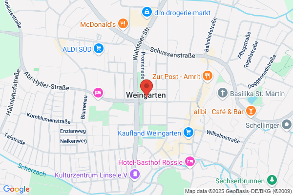 Art Hotel Weingarten