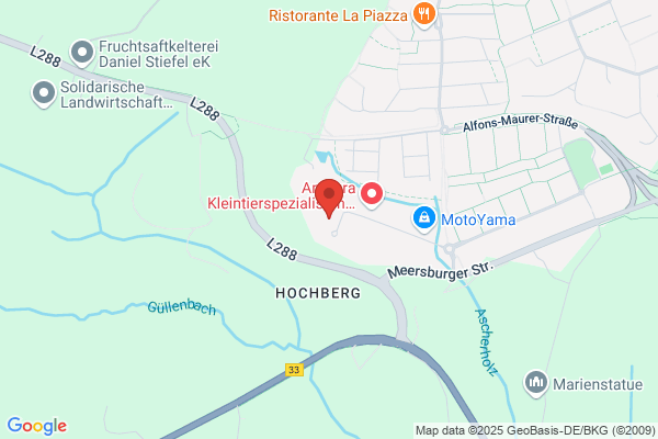 remoso GmbH