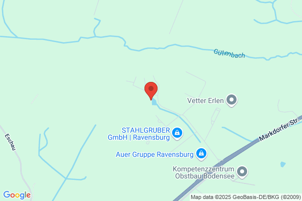 Steinbeis Transferzentrum I/B/N