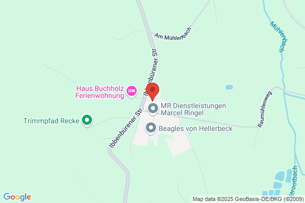 Lünnemann