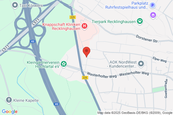 Die Saubermeister