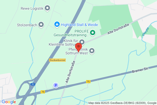 C & K Service GmbH