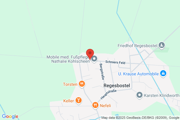 HOLL-SOFT electronics GmbH