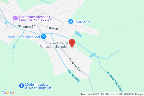 Island Pferde Reitschule