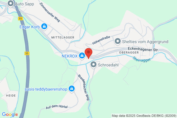 Borgard Verlag GmbH