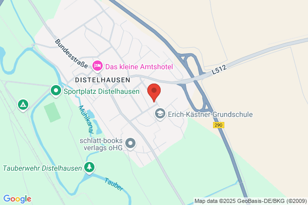Dihsmaier Erich Management Consulting GmbH