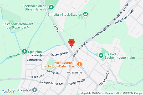 Icos Consulting GmbH