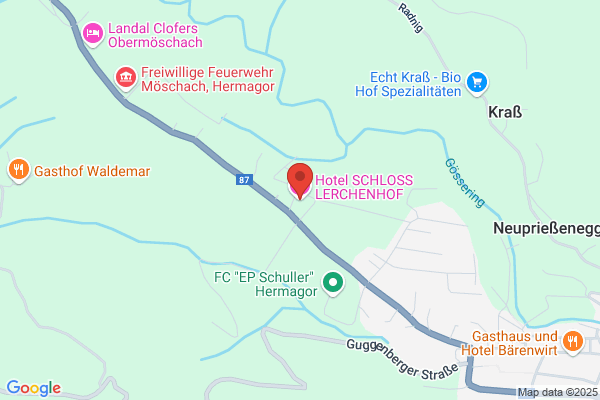 Hotel Pension Lerchenhof
