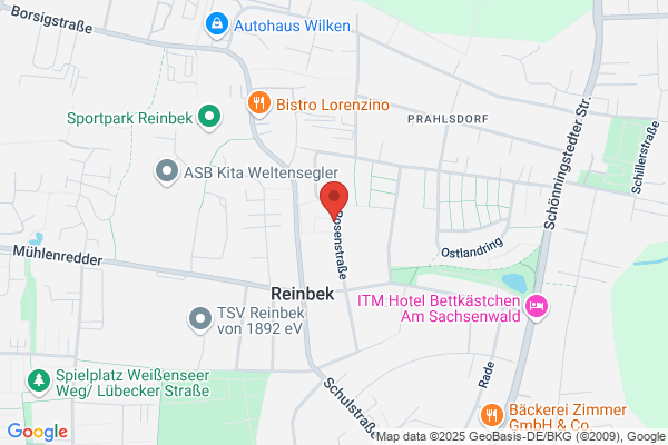 Astrologische Persönlichkeitsanalysen Heinz Braunschweig