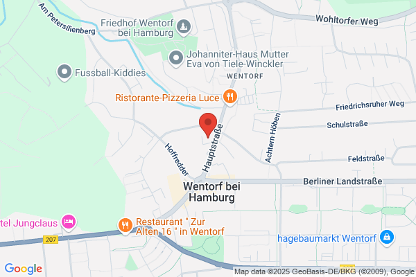 Wentorfer-Pflegeteam GmbH