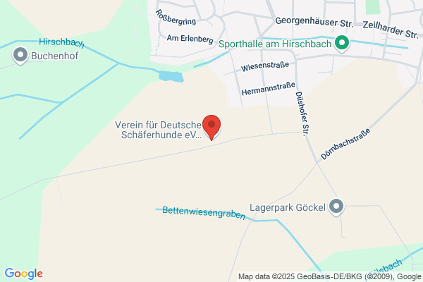 Hundebetreuung Wohlfühlhunde
