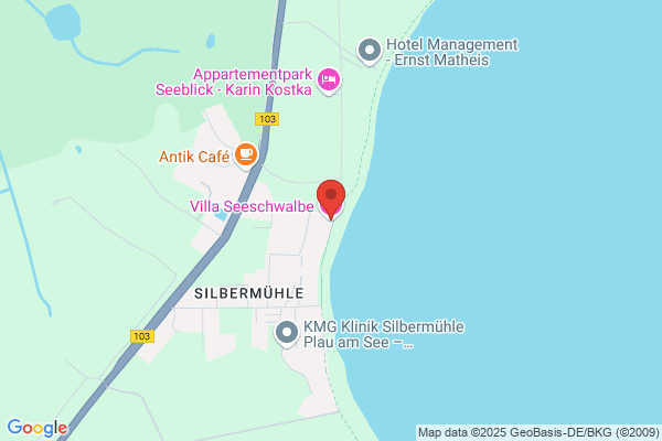 Seeschwalbe