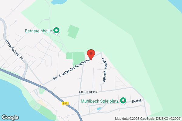 Steffis Blumenparadies Inh. Steffi Döhnel