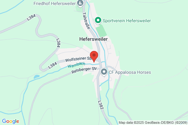 Peter Schwarz Heizung, Lüftung, Sanitär und Brandschutz