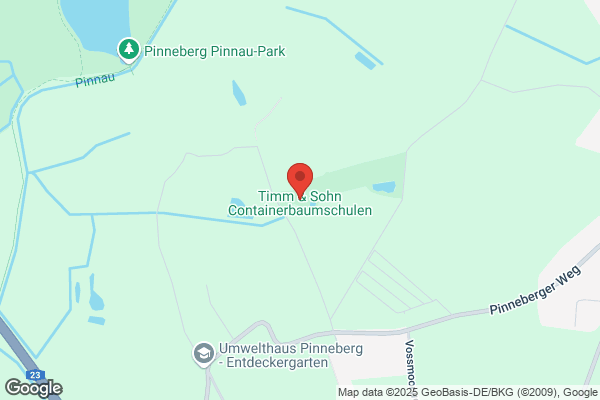 Timm & Sohn
