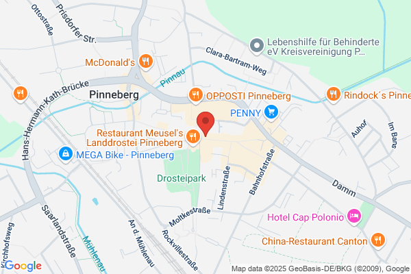 Home Instead (Pinneberg)