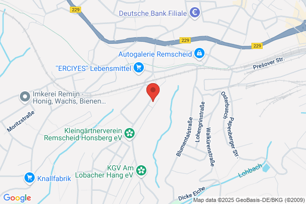 Honsberger-Apotheke