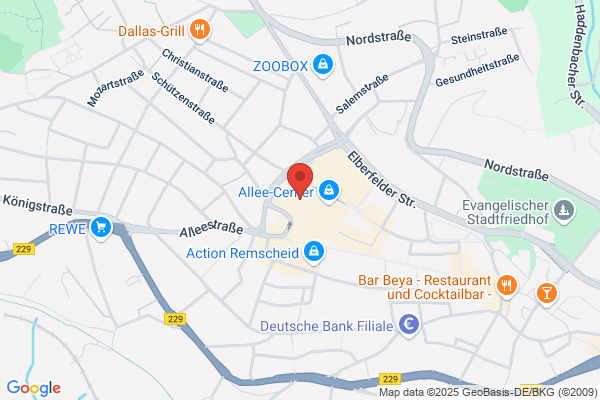 Stadt Remscheid der Oberbürgermeister
