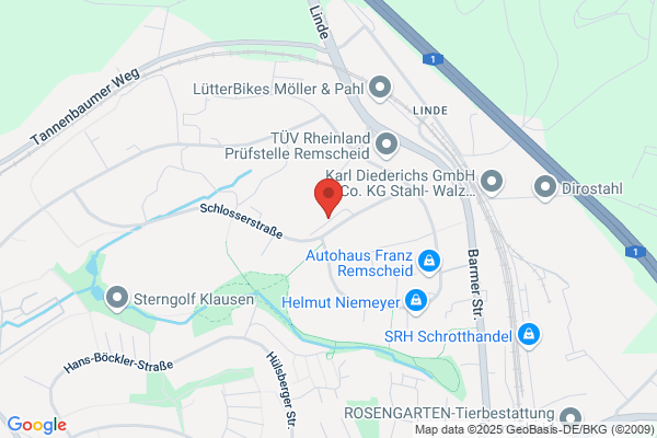 Lear Corporation Electrical and Electronics GmbH & Co. KG