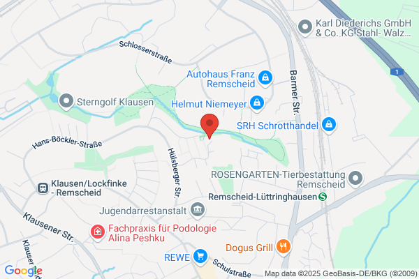 Hundesalon Königstraße